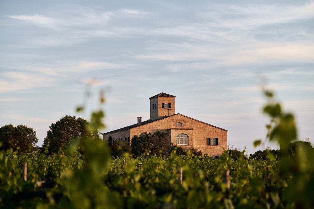 The house at dusk, seen across the vineyard