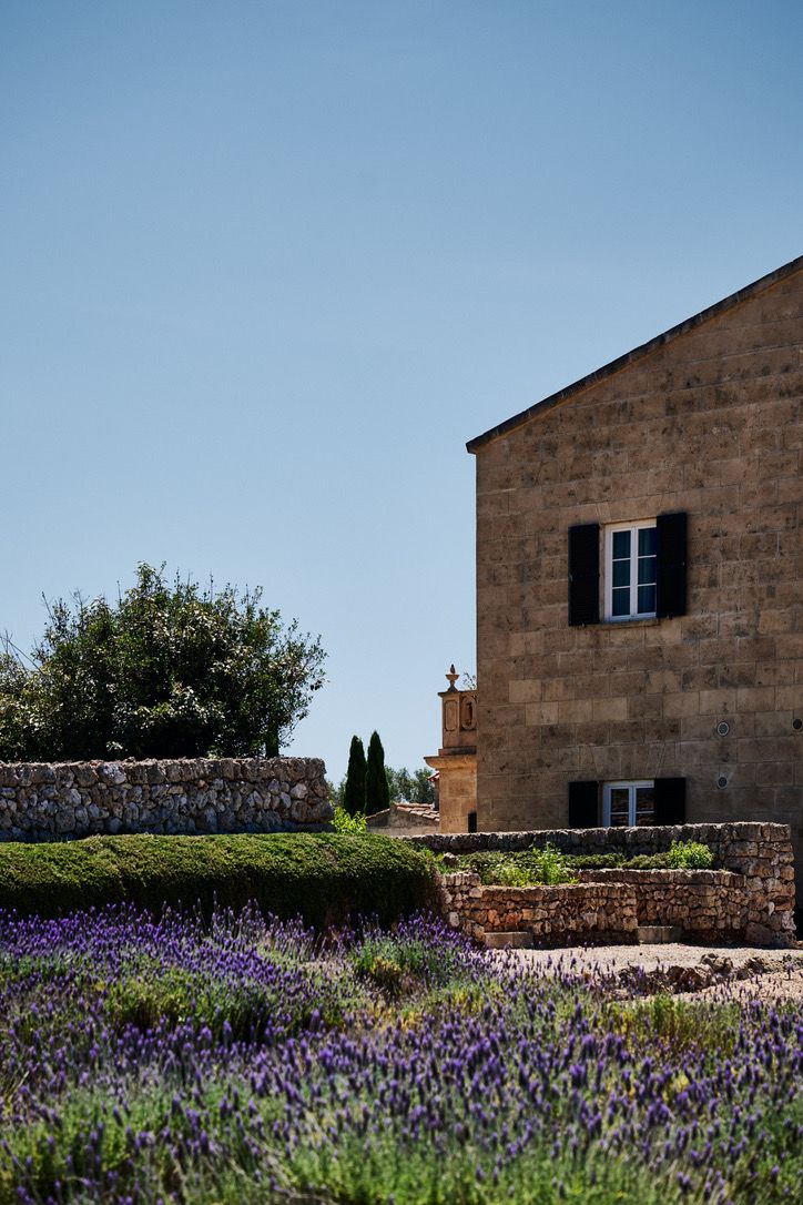 The House