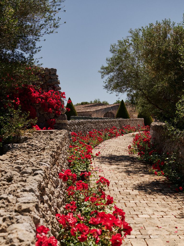 A path of red roses curving between the stone walls