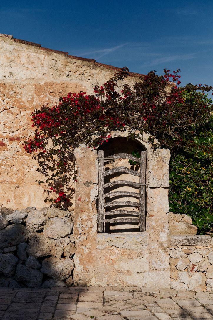 An old timber gate in the wall beneath the bougainvillea