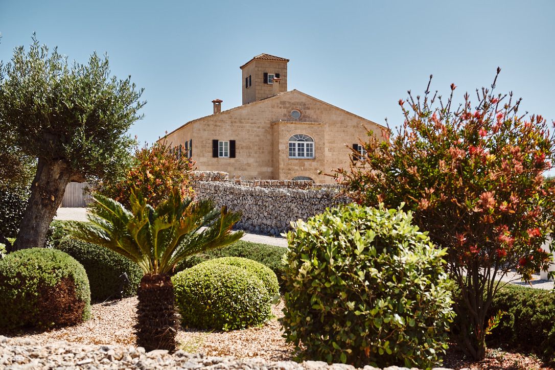 Topiary and palms in the gardens below the house